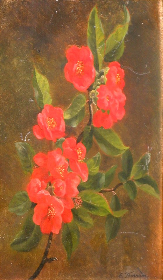 Emmy Thornam - Blomstrende kvædegren
