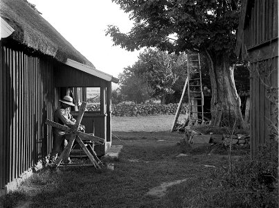 En man arbetar vid en slipsten mellan två hus. Stort träd. Björsgård, Asige sn, Årstads hd, Halland - Nordiska Museet - NMA.0052603. Free illustration for personal and commercial use.