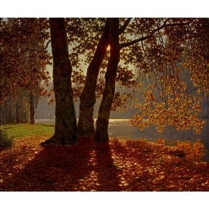 End of October, Bois de Boulogne Ivan Choultse
