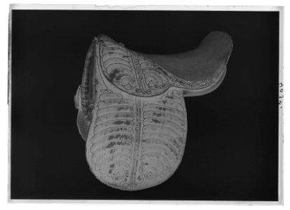 Engelsk sadel - Livrustkammaren - 77747-negative