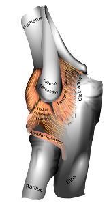 En-elbow joint
