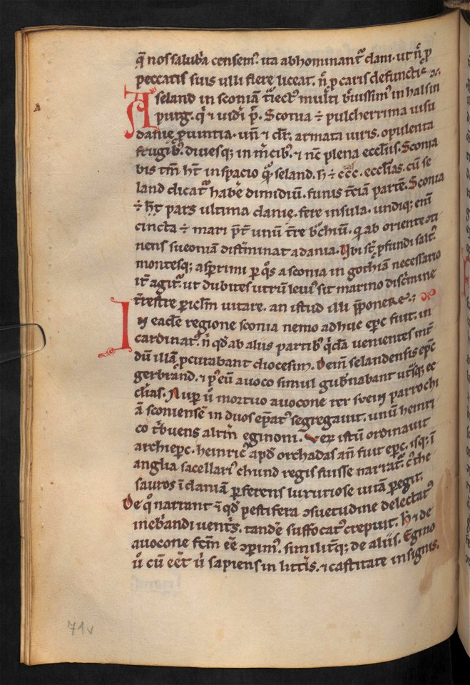 Gesta Hammaburgensis ecclesiae pontificum, Descriptio insularum aquilonis, Capitulum 7 (full page)