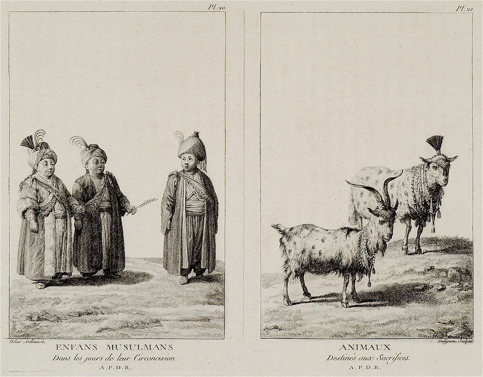Enfans Musulmans dans les jours de leur circoncision Animaux destinés aux sacrifices - D'ohsson Mouradgea - 1787