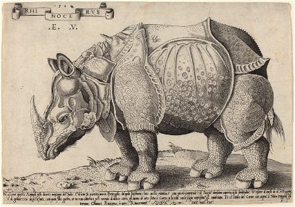 Enea Vico after Albrecht Dürer - Rhinoceros. Free illustration for personal and commercial use.