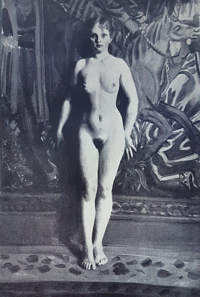 Enhörning x Anders Zorn