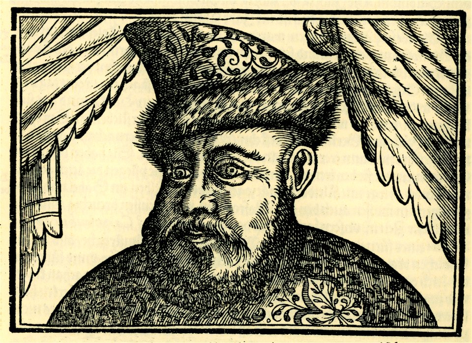 Gestalt des bestendigen Fursten Quarquaras - Schweigger Salomon - 1608