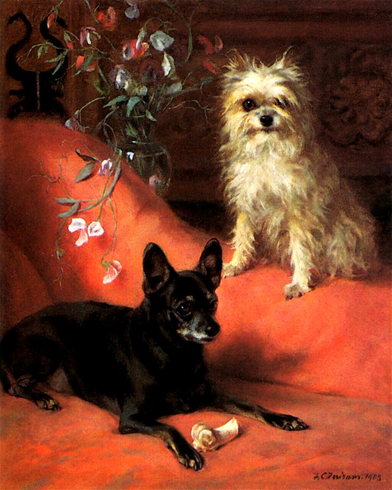 English Toy Terrier and Affenpinscher by Frances C. Fairman