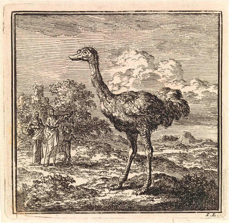 Enkele figuren kijken naar een struisvogel