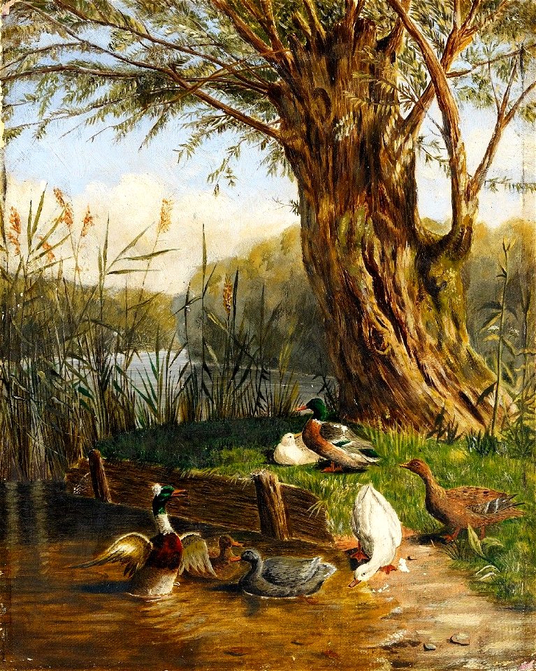 Enten am Ufer Düsseldorfer Schule c1900