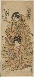 Enshoku akisame monogatari LCCN2009615338