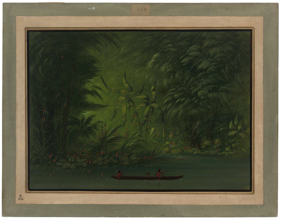 Entrance to a Lagoon, Shore of the Amazon C17045
