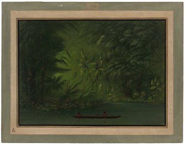 Entrance to a Lagoon, Shore of the Amazon C17045