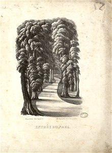 Entrée du Parc - Fonds Ancely - B315556101 A PARCDEPAU 004