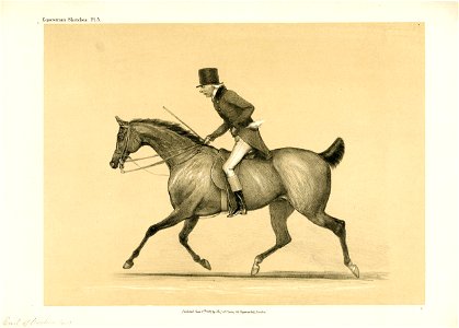 Equestrian Sketches (BM 1868,0808.9536)
