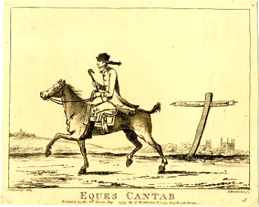 Eques Cantab (A Cambridge Knight) (BM J,6.54)