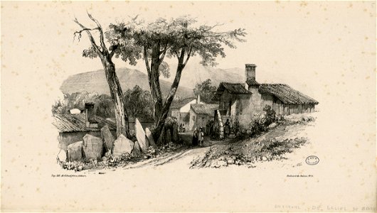 Environs de Salies de Béarn - Fonds Ancely - B315556101 A JACOTTET 3 005