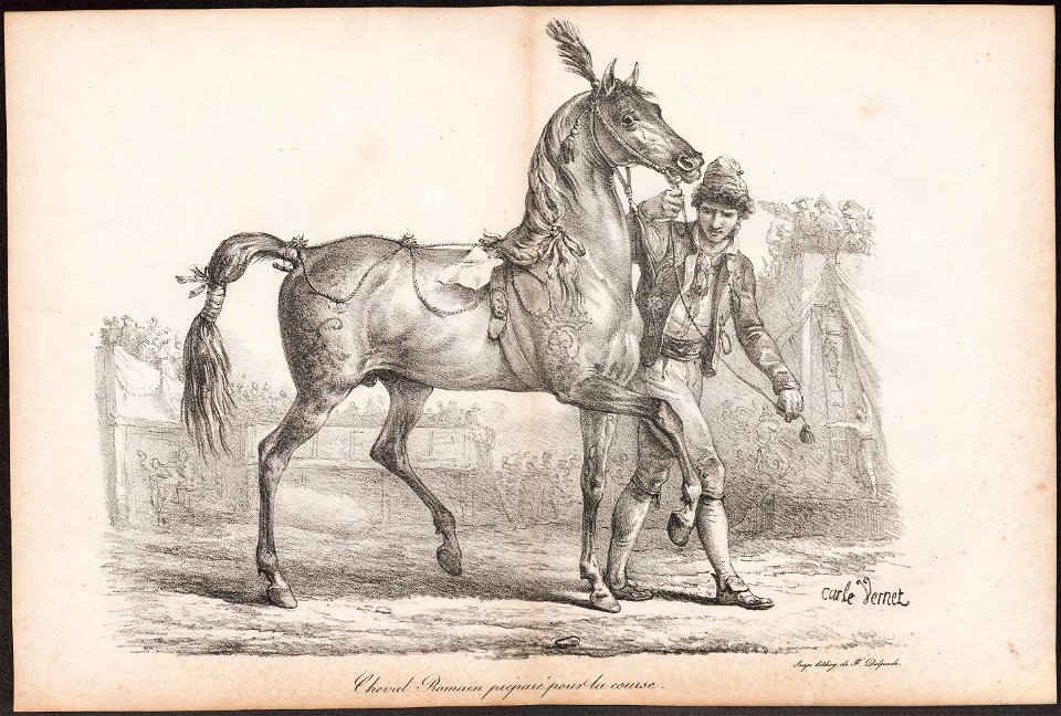 Equus caballus - 1700-1880 - Print - Iconographia Zoologica - Special Collections University of Amsterdam - UBA01 IZ21800114