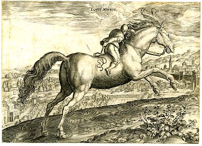 Equus Maurus (BM 1957,0413.190)