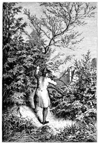 Erckmann - Chatrian - Contes et romans populaires, 1867 p311