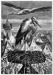 Erckmann - Chatrian - Contes et romans populaires, 1867 p391