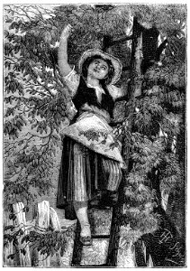 Erckmann - Chatrian - Contes et romans populaires, 1867 p407