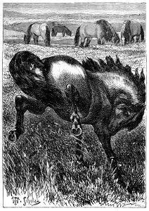 Erckmann - Chatrian - Contes et romans populaires, 1867 p383