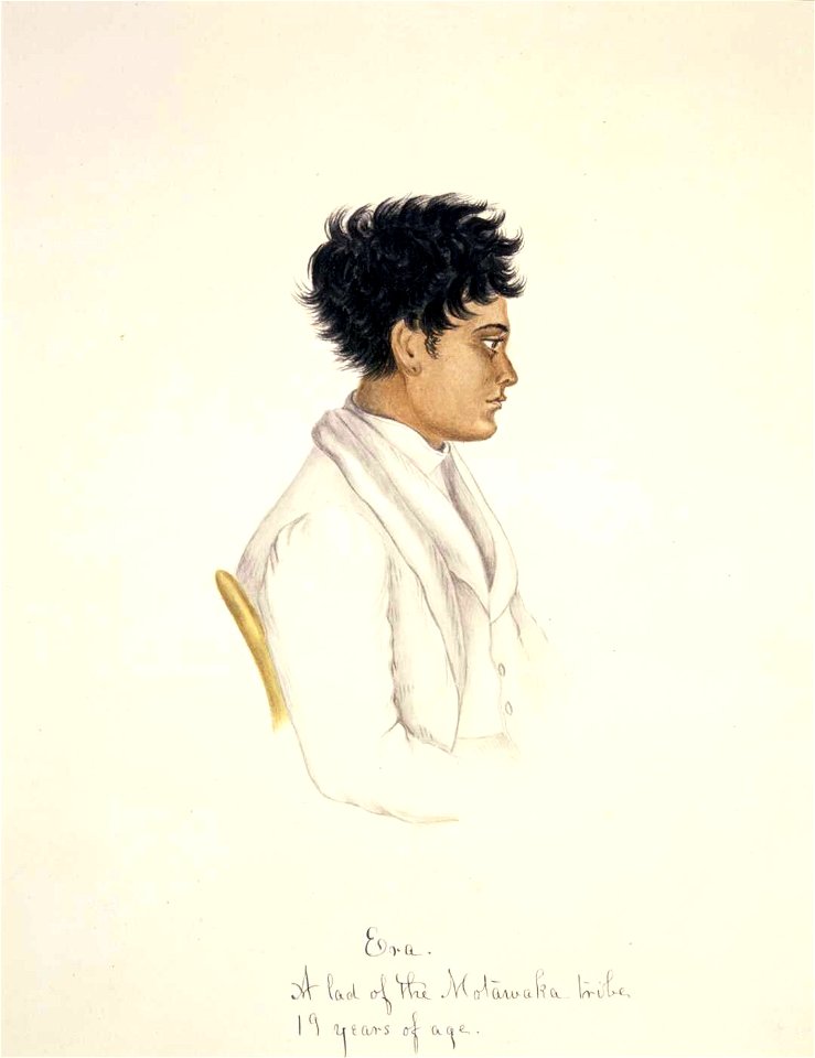 Era. A lad of the Motawaka tribe, 19 years of age, watercolour & gum arabic by Isaac Coates