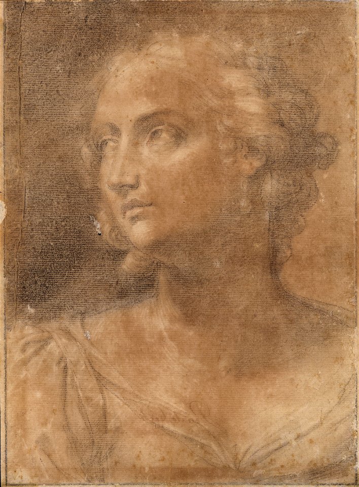 Ercole Graziani - Cabeça de mulher (2)