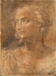 Ercole Graziani - Cabeça de mulher (2)