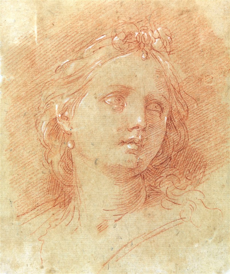 Ercole Graziani - Cabeça de mulher (4)