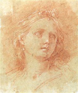Ercole Graziani - Cabeça de mulher (4)