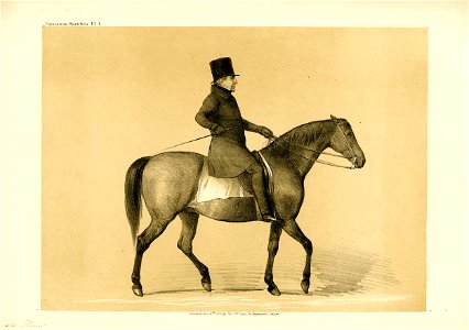 Equestrian Sketches (BM 1868,0808.9535)