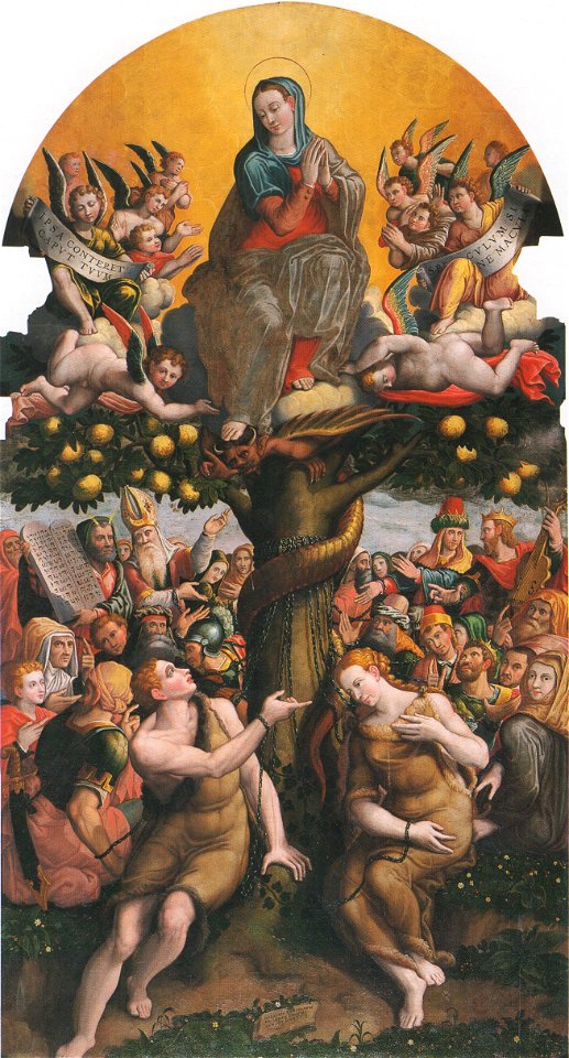Ercole Ramazzani, L'Immacolata Concezione e l'albero della Scienza del Bene e del Male (Allegoria della Concezione), 1573, Matelica, chiesa di San Francesco