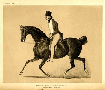 Equestrian Sketches (BM 1880,0807.19)