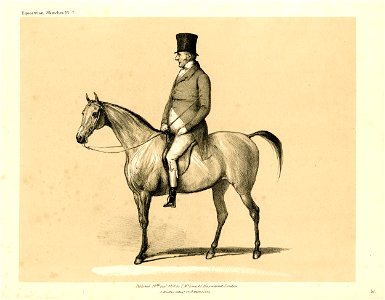 Equestrian Sketches (BM 1923,0514.133)
