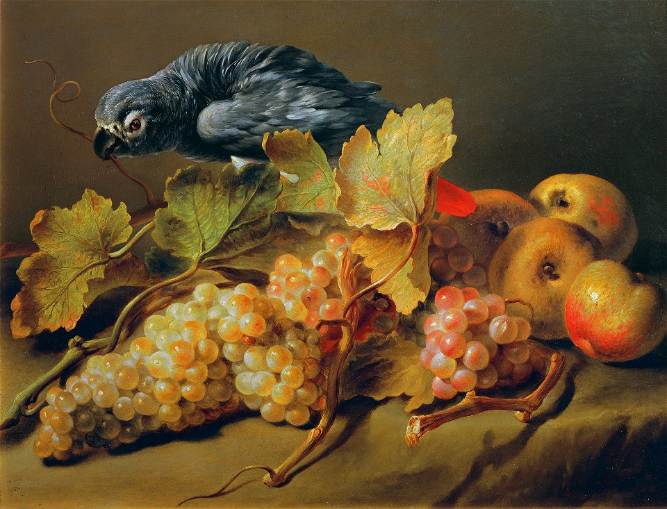 Erasmus von Engert - Stillleben mit Papagei und Trauben - 7232 - Österreichische Galerie Belvedere