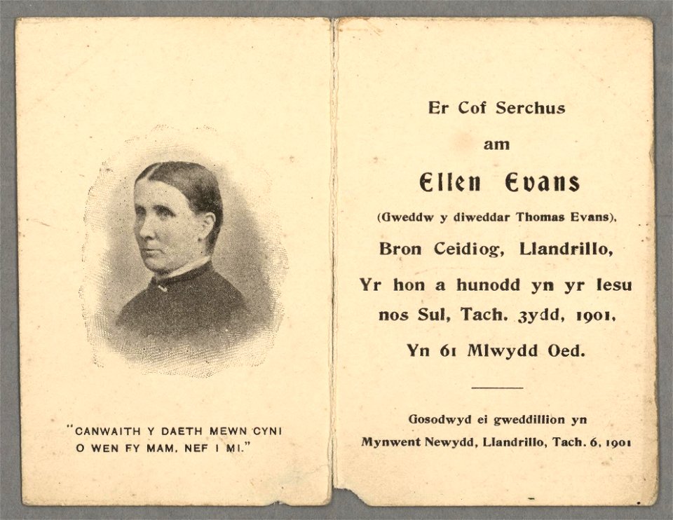 Er cof serchus am Ellen Evans (gweddw y diweddar Thomas Evans), Bron Ceidiog, Llandrillo yr hon a hunodd yn yr Iesu nos Sul, Tach. 3ydd, 1901, yn 61 mlwydd oed (5349055)