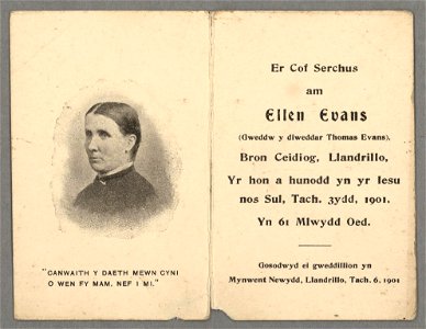 Er cof serchus am Ellen Evans (gweddw y diweddar Thomas Evans), Bron Ceidiog, Llandrillo yr hon a hunodd yn yr Iesu nos Sul, Tach. 3ydd, 1901, yn 61 mlwydd oed (5349055)