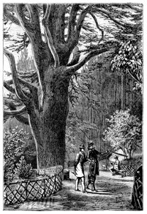 Erckmann - Chatrian - Contes et romans populaires, 1867 p318