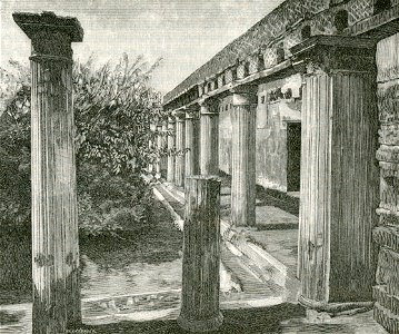 Ercolano giardino della Casa dell Argo