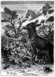 Erckmann - Chatrian - Contes et romans populaires, 1867 p390