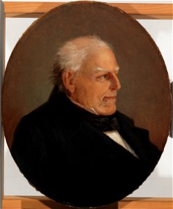 Erik Johan Löfgren - Portrait of Counsellor H. Rosenberg - A I 540 - Finnish National Gallery