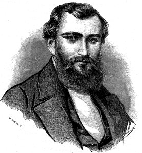 Erdélyi Morelli