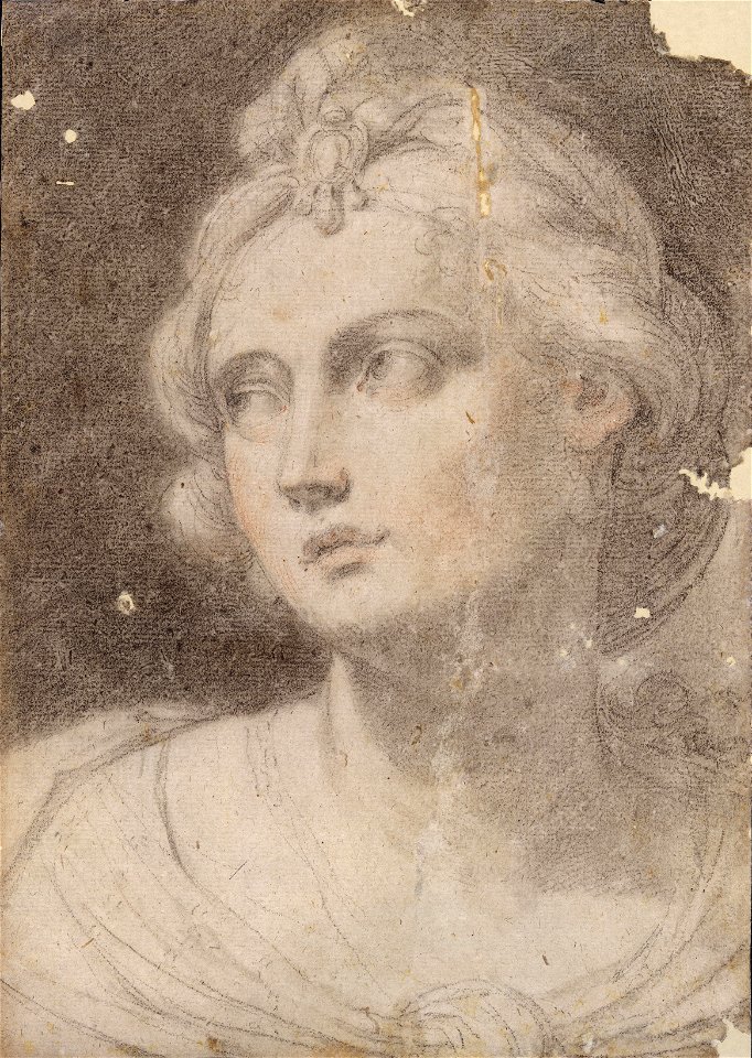 Ercole Graziani - Cabeça de mulher