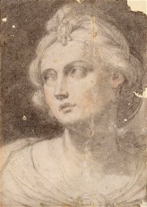 Ercole Graziani - Cabeça de mulher