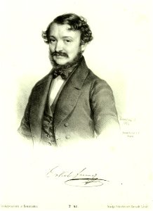 Erkel Ferenc (1810-1893) litográfia Barabás Miklós
