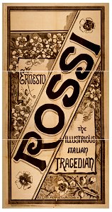 Ernesto Rossi the illustrious Italian tragedian. LCCN2014637120