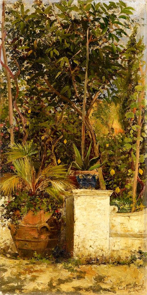 Ernst Hanfstaengl Garten auf Capri