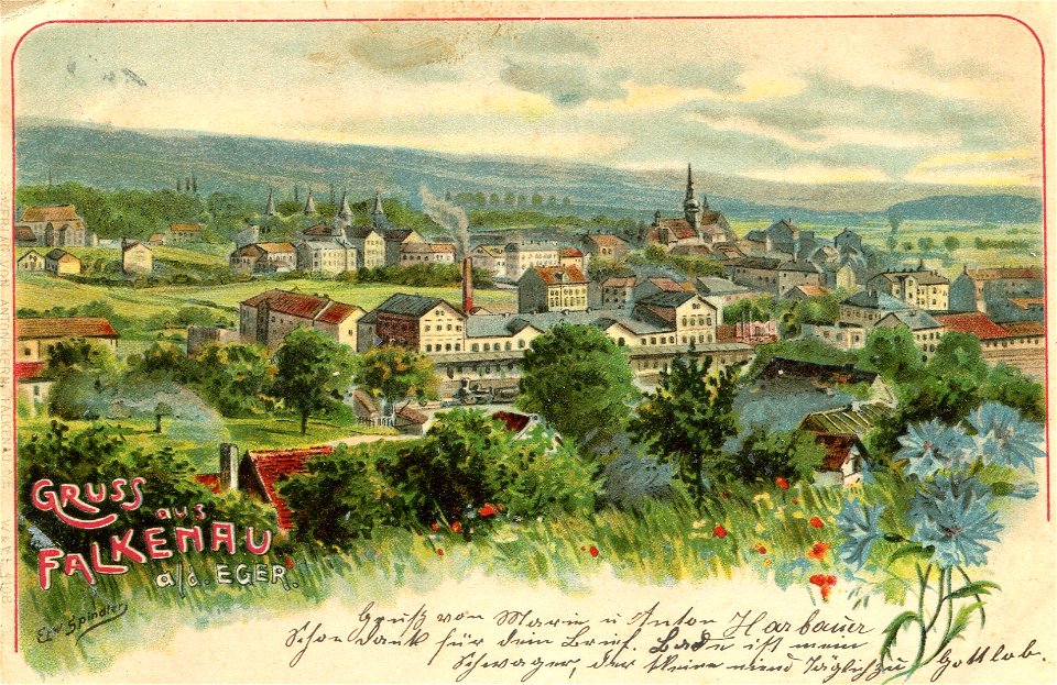 Erwin Spindler Ansichtskarte Falkenau-Panorama