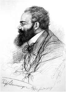 Ernst Schweninger (Allers)